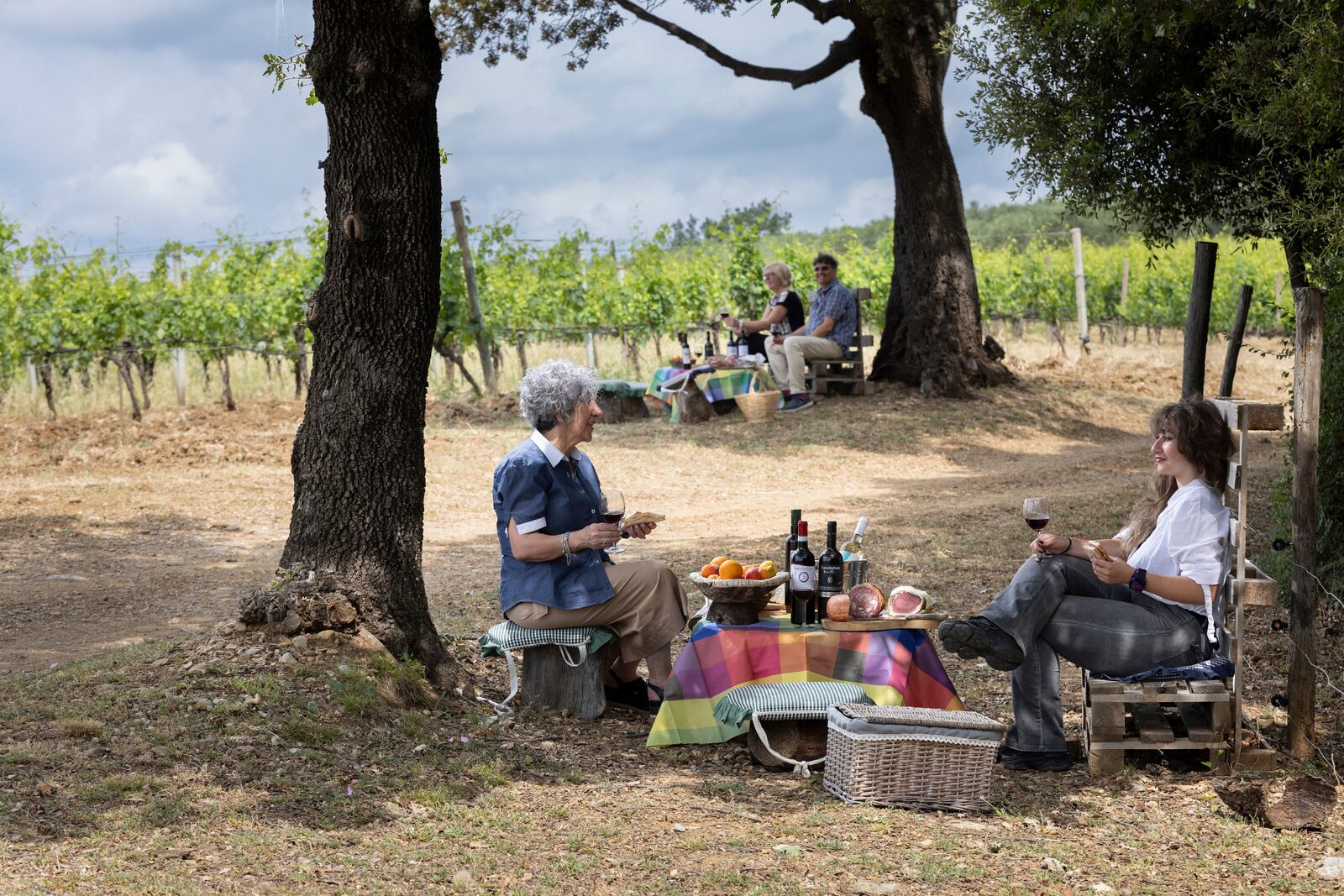 Degustazione pic-nic